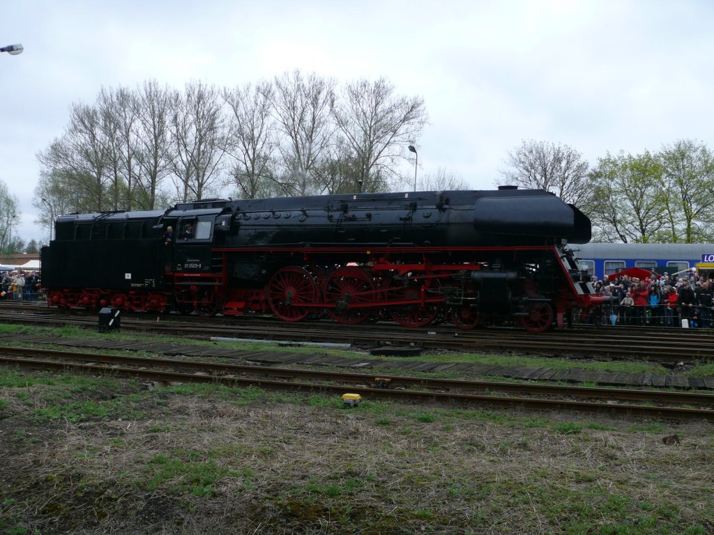 01 509 in Wollstein
