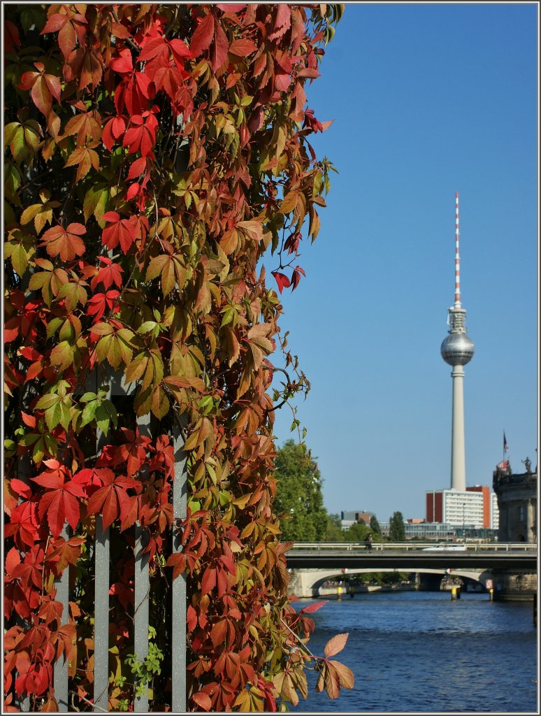 Bunte Bl�tter erz�hlen in Berlin vom baldigen Herbst.
(16.09.2012) 