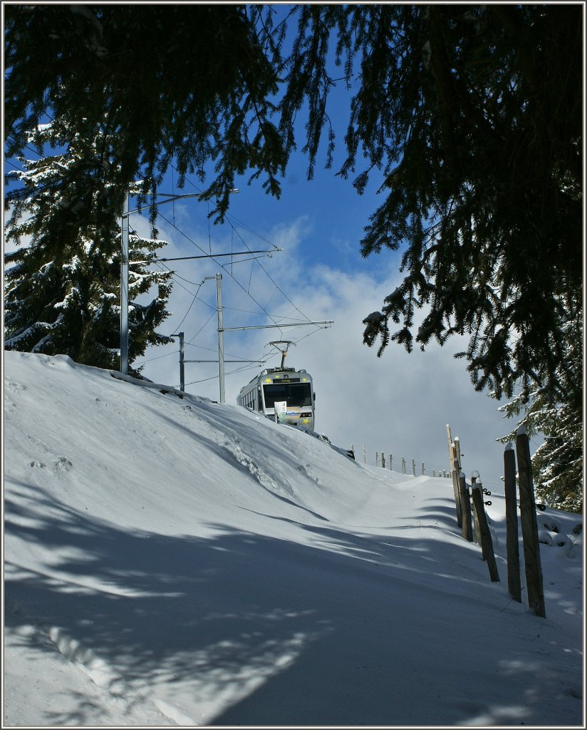 Der Train Astro-Pl�iades auf der Fahrt vom Les Pl�iades hinunter nach Blonay.
(30.11.2012)
