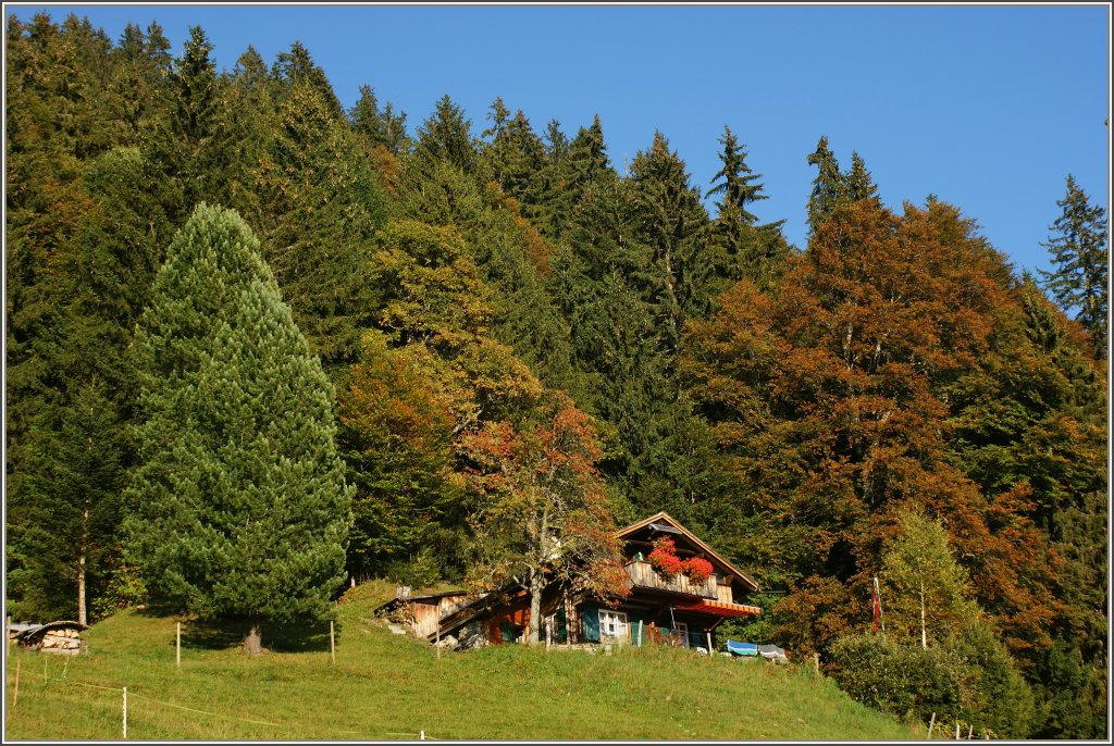 Die Abendsonne hebt die Herbststimmung dieses Tages noch einmal hervor.
(01.10.2011)