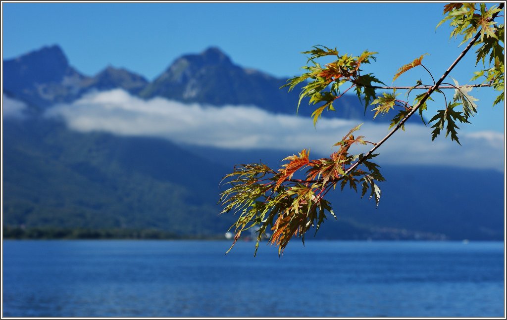 Es wird langsam herbstlich am Genfersee.
(28.09.2012)