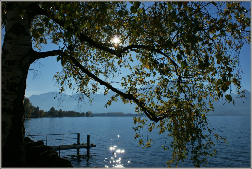 Herbststimmung am Genfersee.
(30.10.2012)