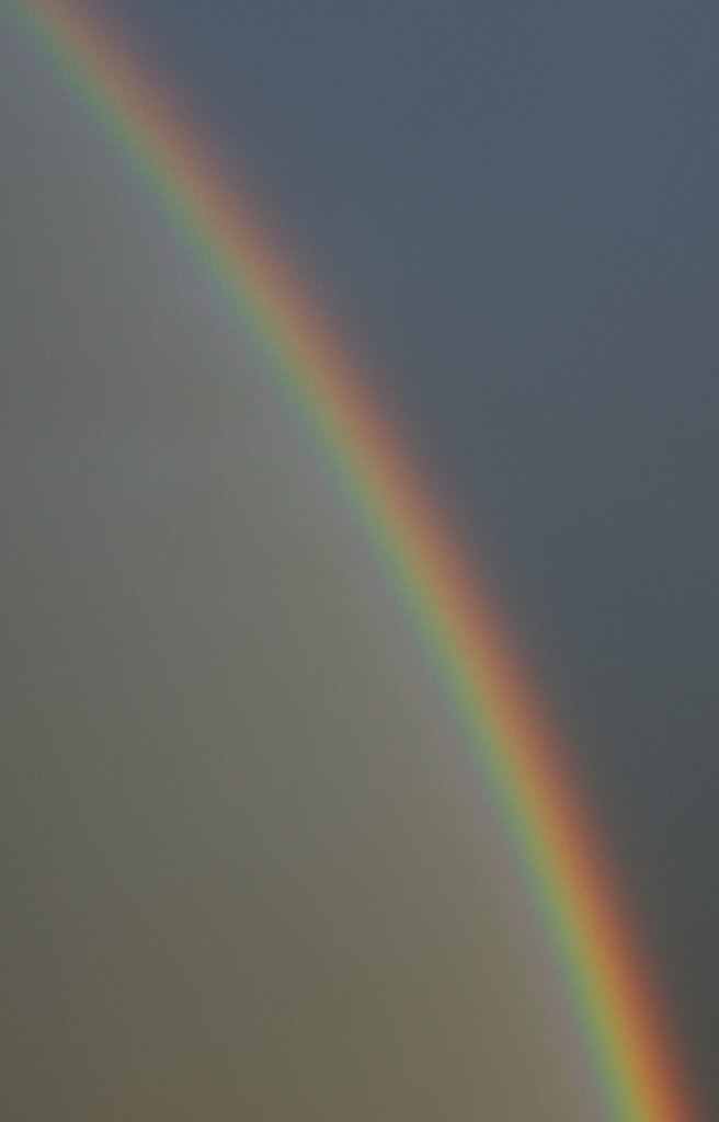 Lange nicht mehr gesehen: die Farben des Regenbogen.
(15.08.2010)