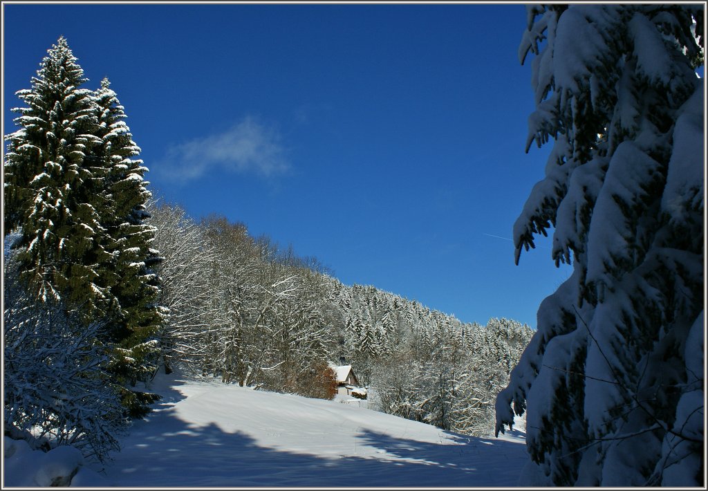 Winterlandschaft auf Les Pleiades.
(19.12.2012)