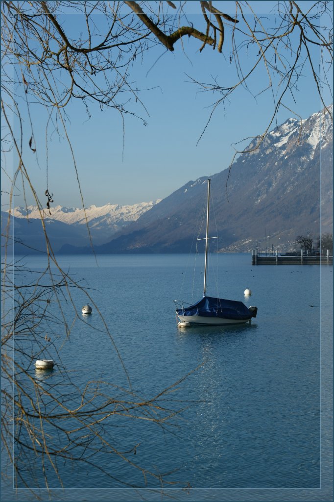 Winterruhe am Brienzersee. 
5. Feb. 2011