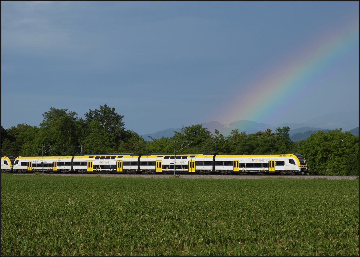 1462 010 als Beginn des Regenbogens. Noch angeschnitten ist 1462 003. Buggingen, Juni 2022.
