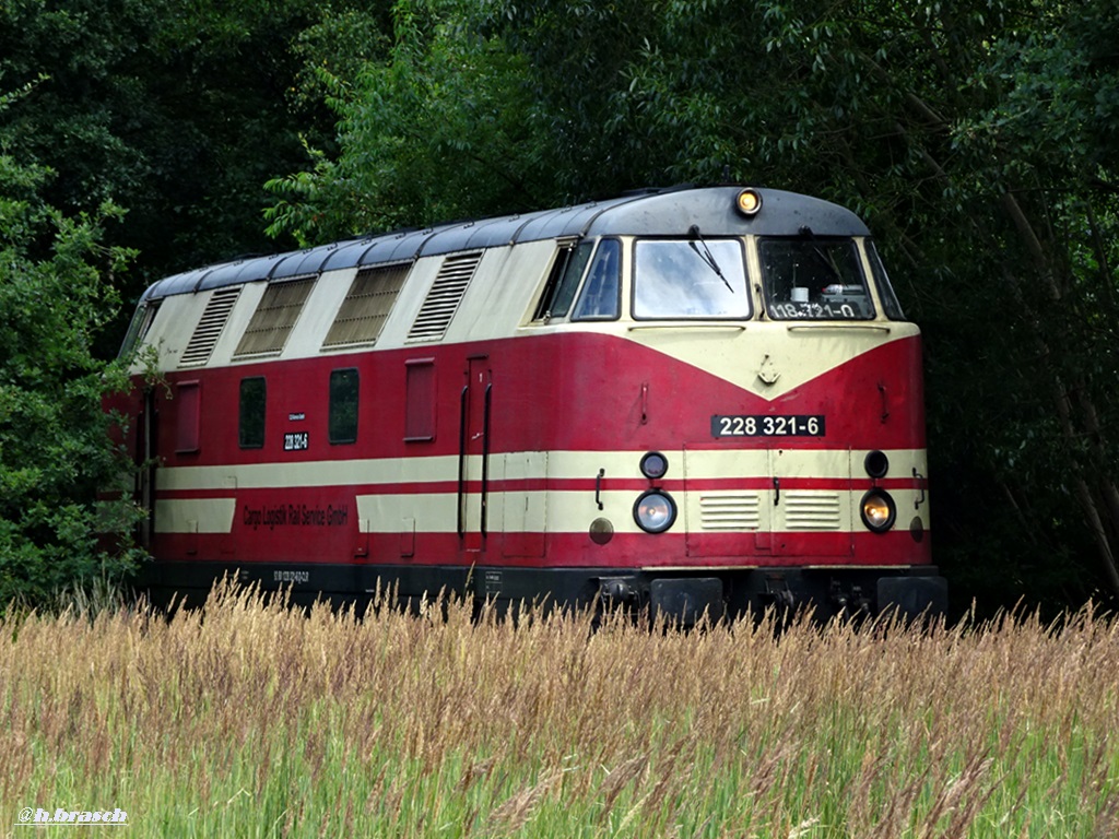 228 321-6 von cargo logistics rail service gmbh zierte sich hinter den hohen gras und mu�te warten auf einen beldadenen schotterzug,glinde 16.07.18