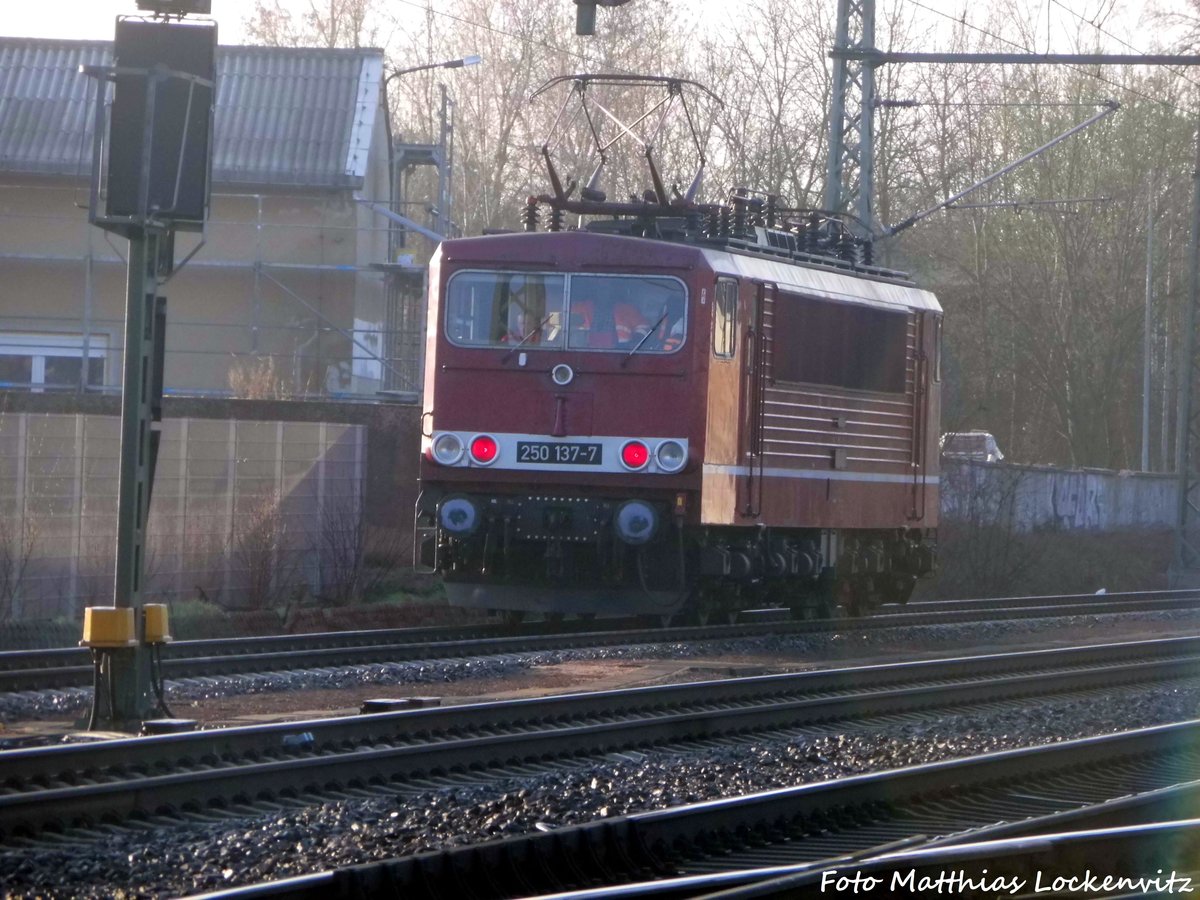 250 137 F�hrt in Richtung LEG Abstellanlage in Delitzsch am 24.3.17