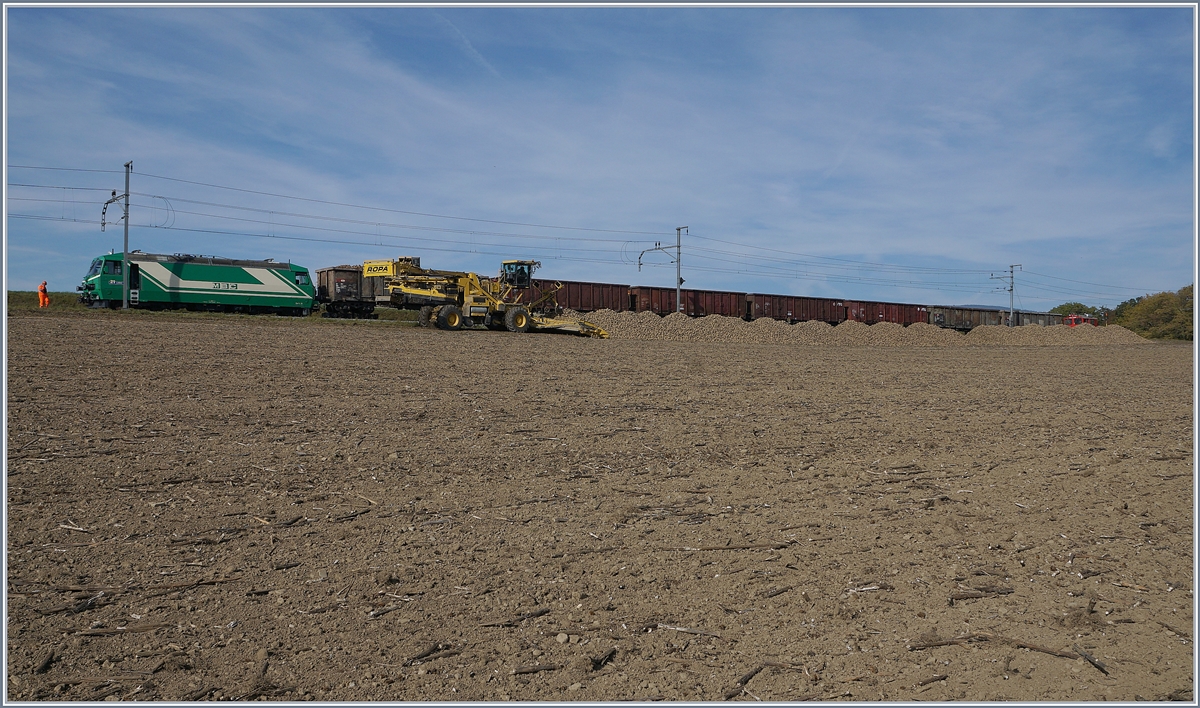 Auf offener Strecke werden bei Reverolle die Zuckerrüben verladen, der Reisezgverkehr wird in der Zwischenzeit im SEV abgewickelt. 
17. Okt. 2017