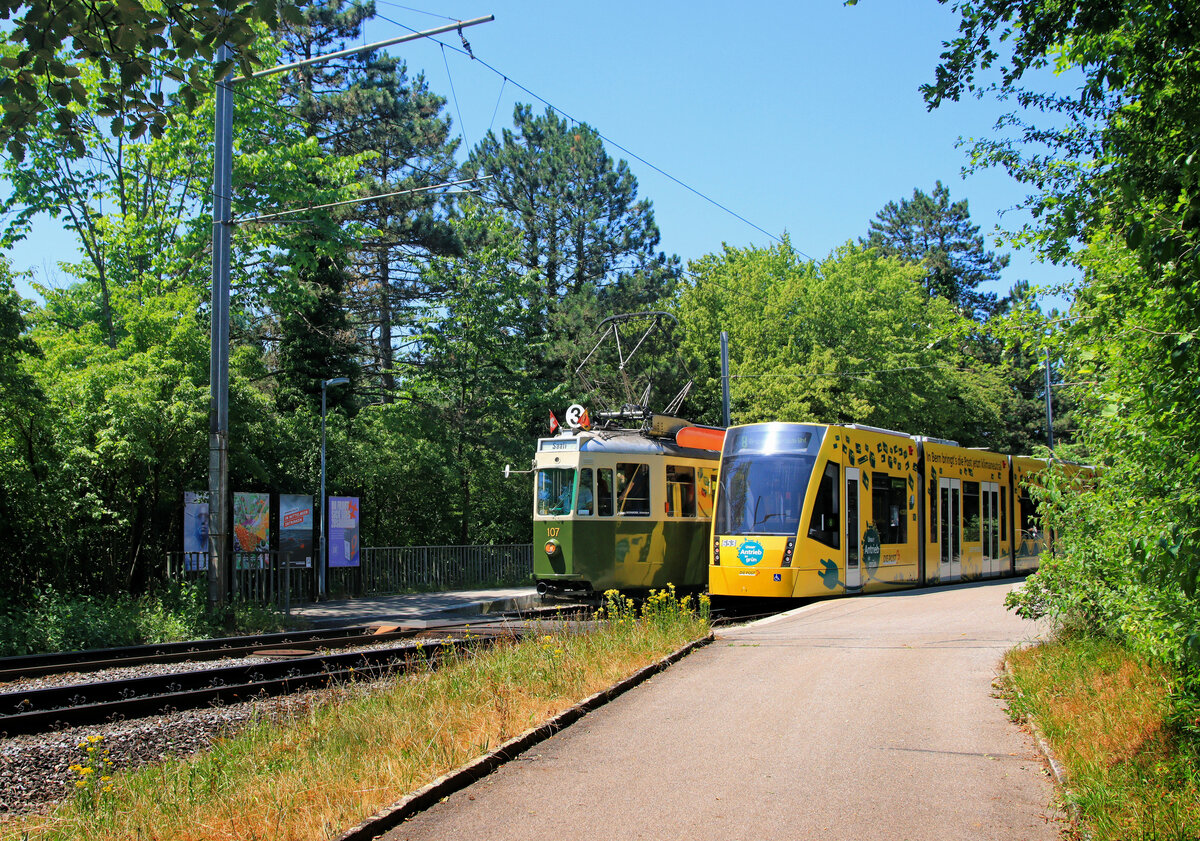 Begegnung: Combino 653, der für die Post wirbt, begegnet dem Standard-Motorwagen 107 (später 607) in Wittigkofen. 25.Juni 2023 