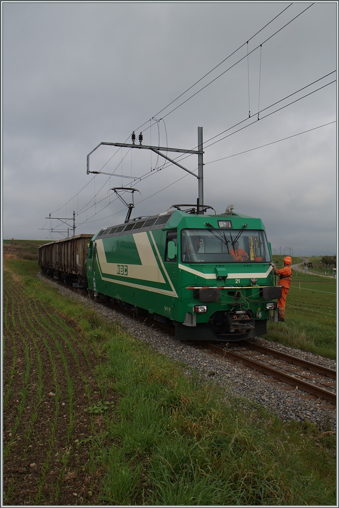 Bei Mauraz wird der BAM Zuckerr�benzug wird f�r die Beladung auf freier Strecke bereitgestellt. 
15. Okt. 2014