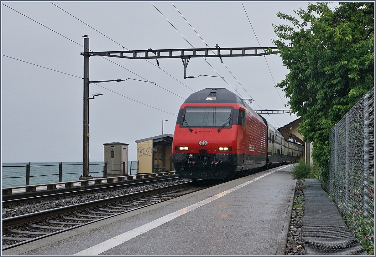 Bei St-Saphorin ist eine SBB Re 460 mit iherem IR nach Brig bei garstigem Wetter unterwegs. 

11. Mai 2020