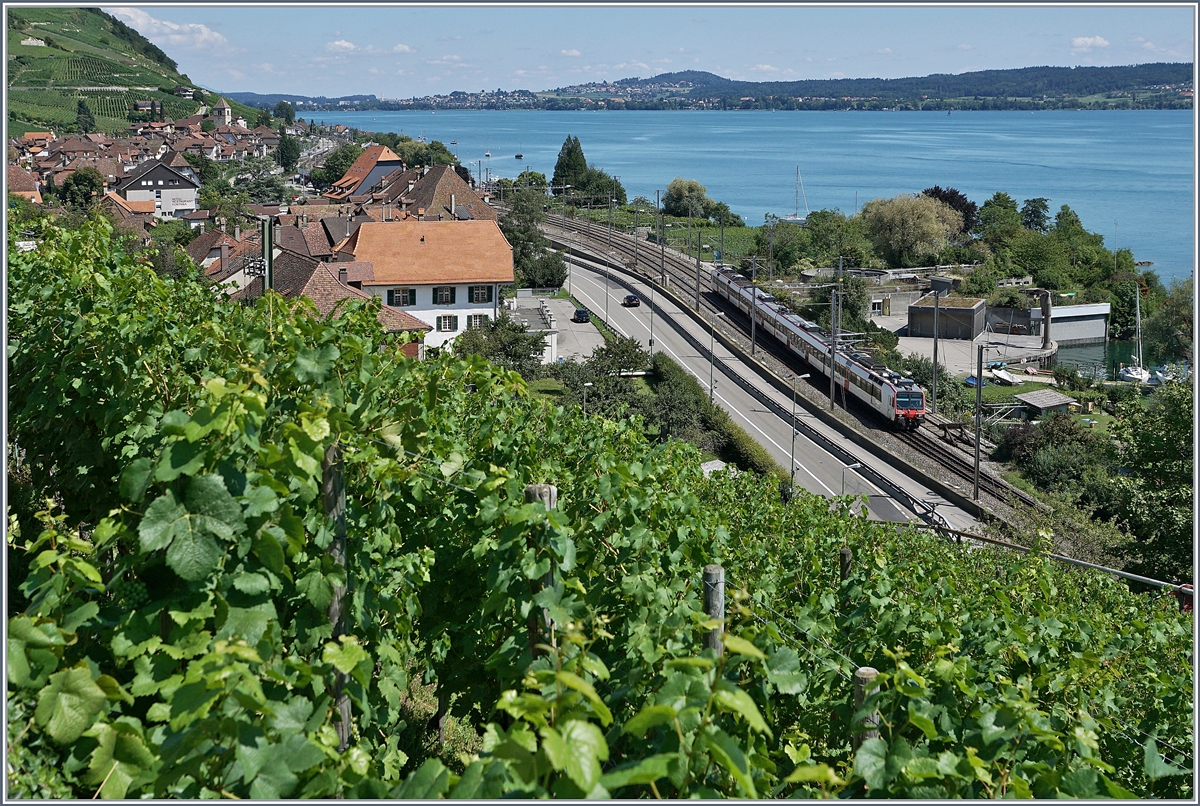 Blick auf den Bahnhof von Twann, mit einem  Domino  auf der Fahrt nach Neuchâtel. Von der Reben verdeckt wird hier der Übergang von der Doppelspur zur Einspur. In Zukunft (ca. 2029) soll hier die Strecke doppelspurig durch einen Tunnel geführt werden. 

14. Aug. 2019