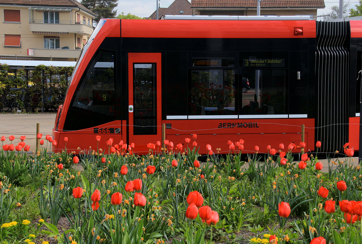 Combino 666 vor dem Amt für Migration in Wabern. 26.April 2018 