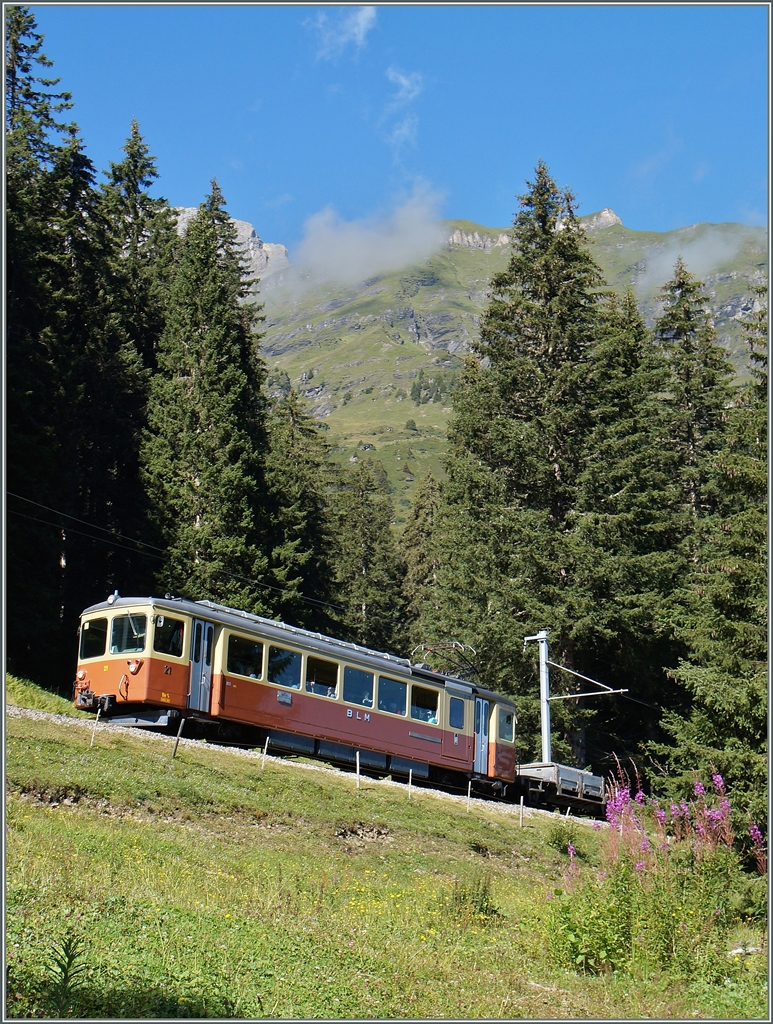 Der BLM Be 4/4 21 kurz vor Winteregg. 
28. August 2014