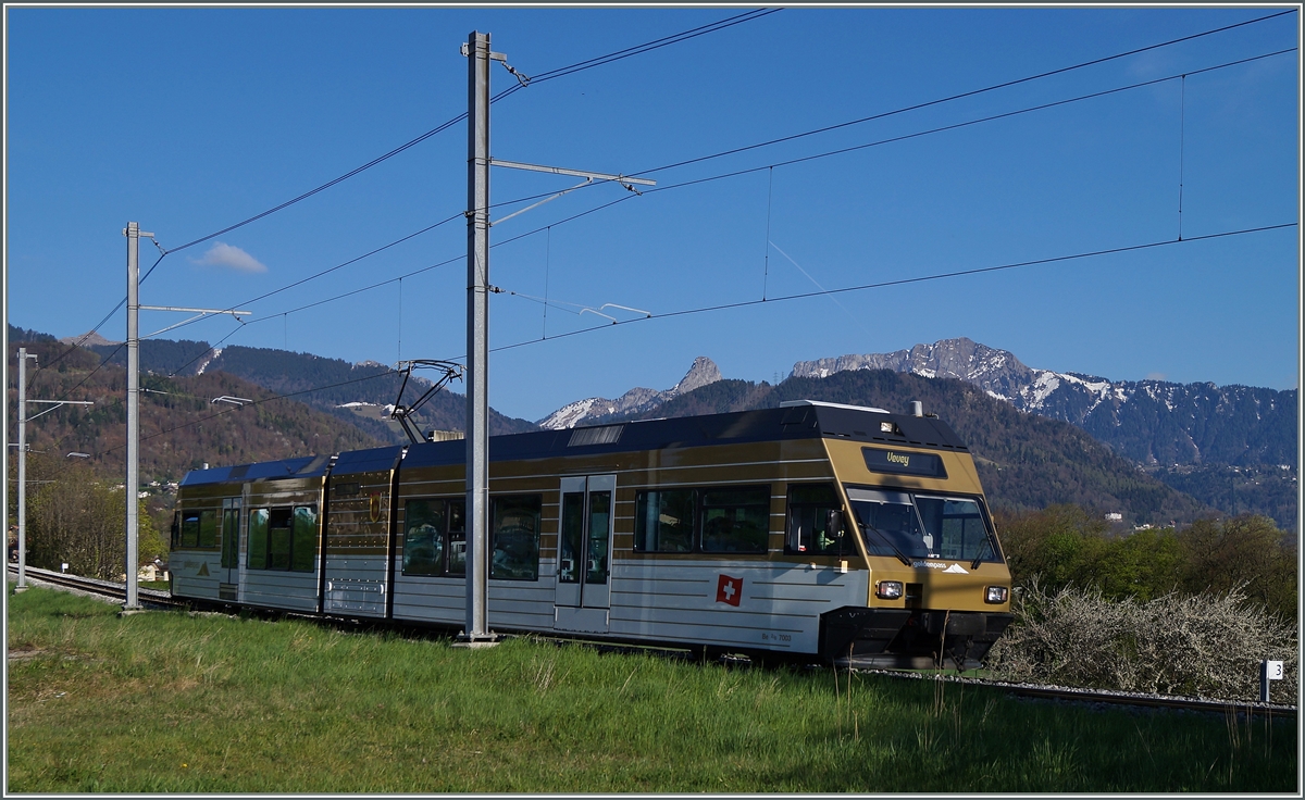 Der CEV/MVR GTW Be 2/6 7002  BLONAY  wurde nach einer unsanfen Begegnung mit einem LKW bei La Chiesaz in den  GoldenPass  Farben lackiert.
Hier erreicht der Be 2/6 7002 auf der Fahrt nach Vevey die Haltestelle Château d'Hauteville. 
9. April 2014