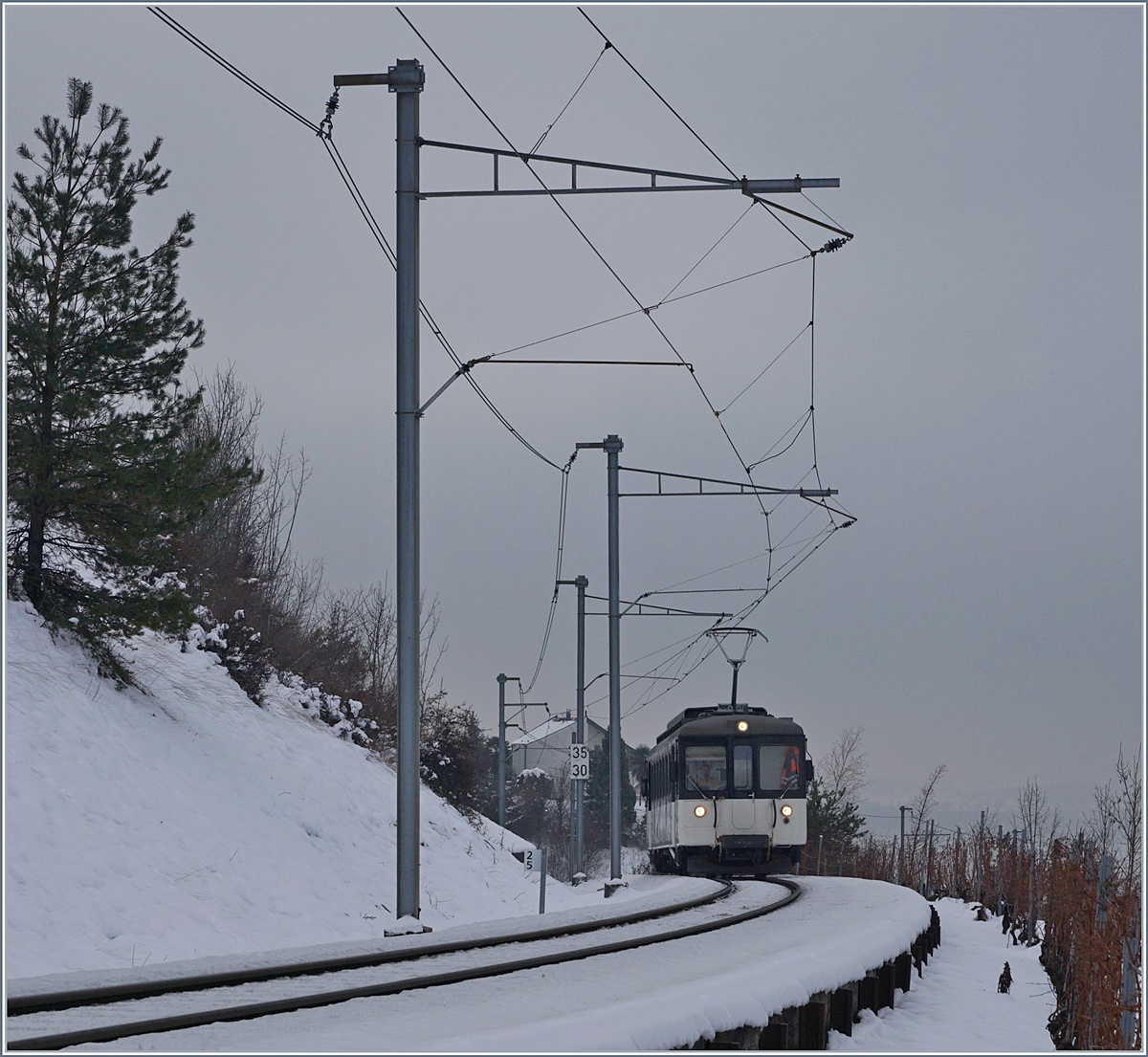Der MOB Be 4/4 1007 bei Planchamp.
23.01.2017