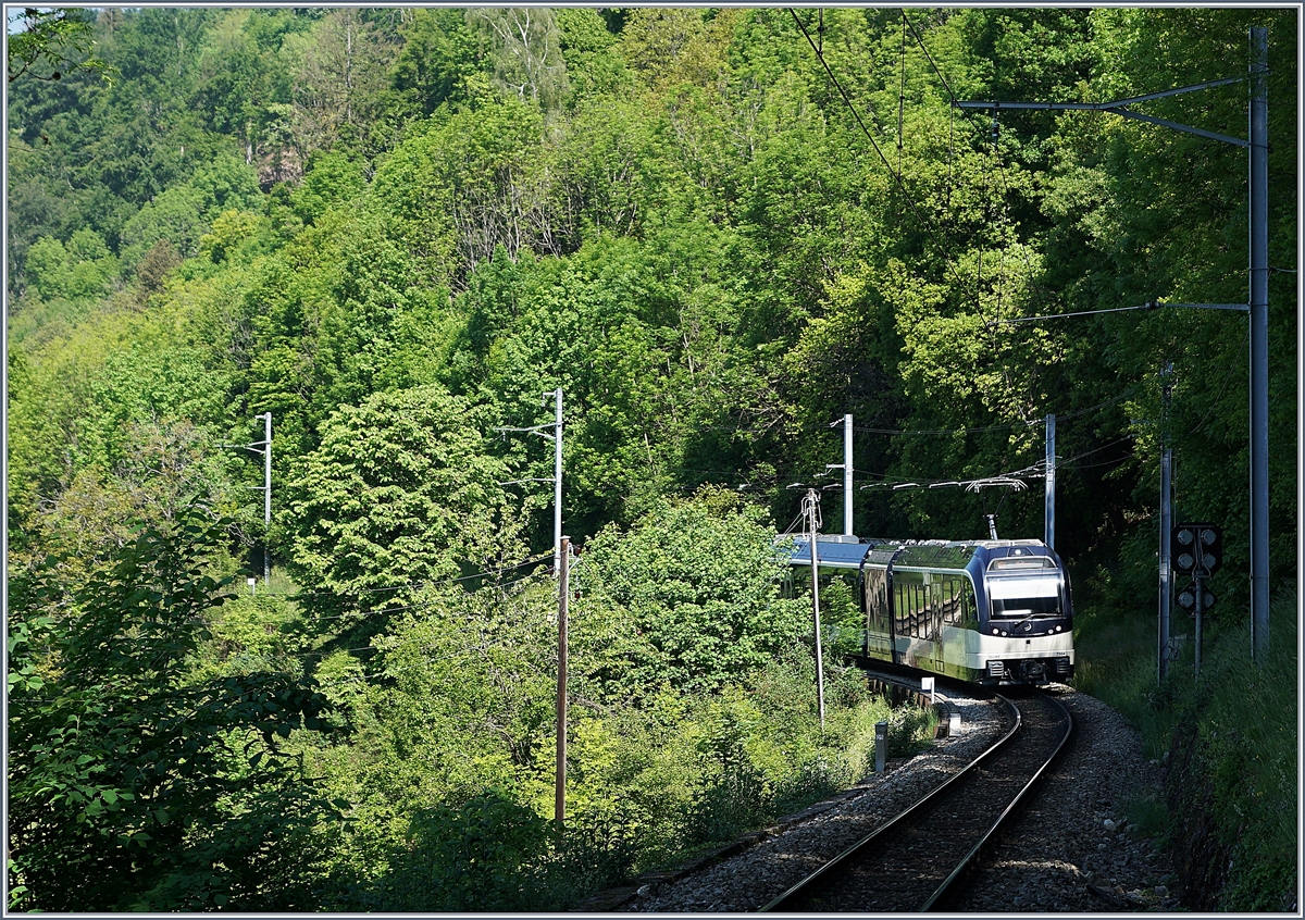 Der MVR MOB ABeh 2/6 7504  VEVEY  verschwindet bei Sonzier auf dem Weg nach Montreux im Wald. 

7. Mai 2020