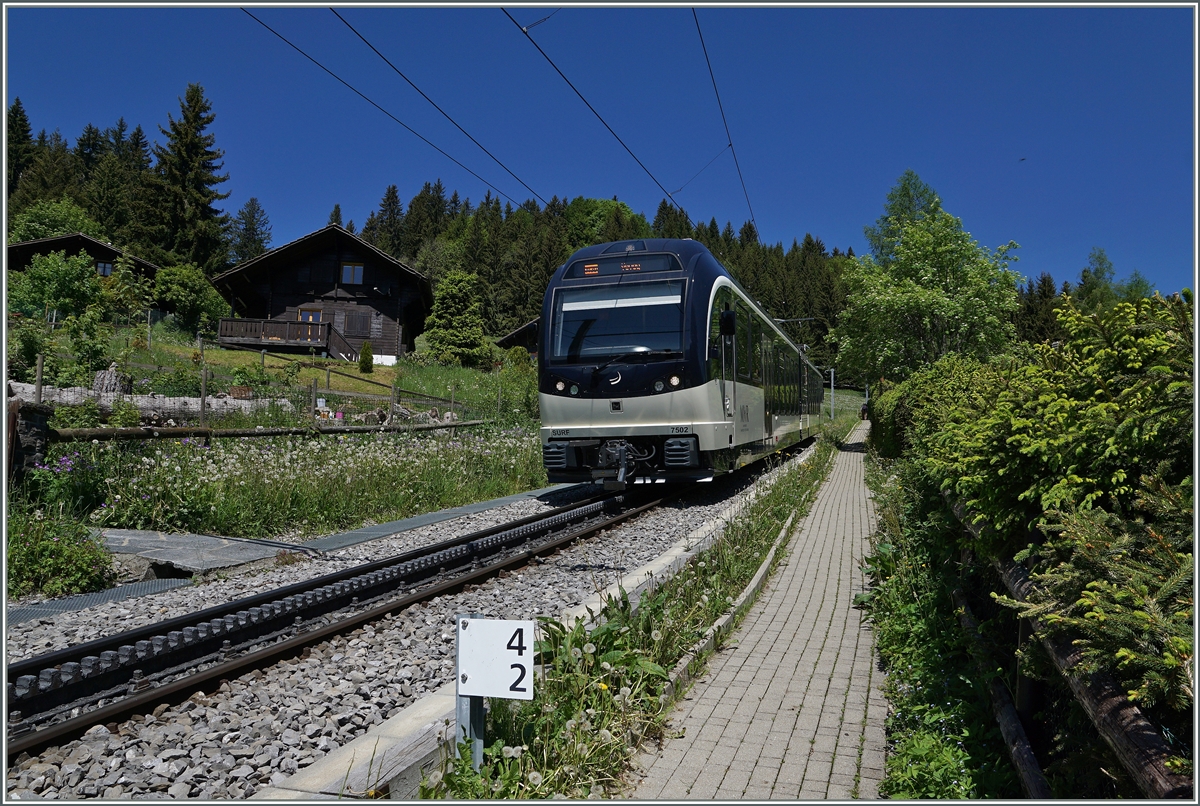 Der MVR SURF GTW ABeh 2/6 7502  Blonay  zwischen Les Pléiades und Lally.
10.06.2016