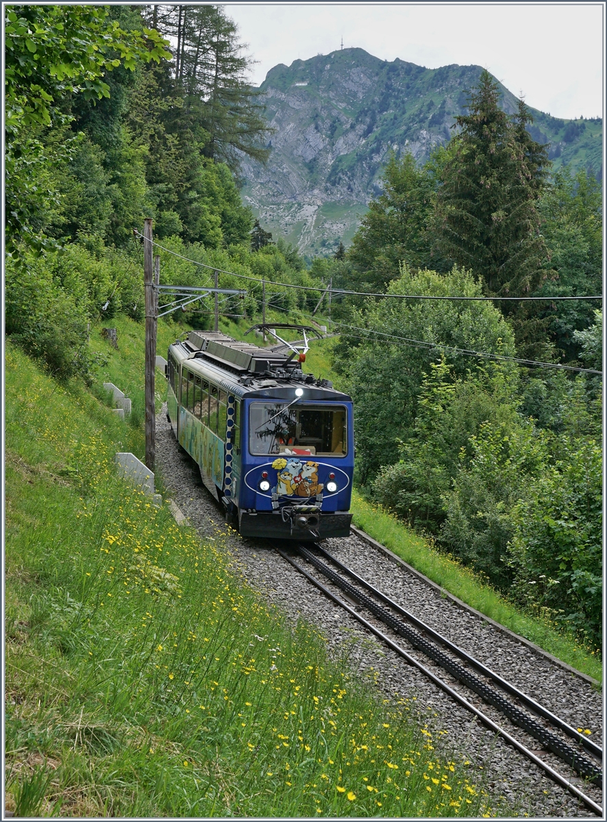 Der Rochers de Naye Beh 4/8 302 auf Talfahrt bei Les Hauts de Caux. 

24. Juli 2020