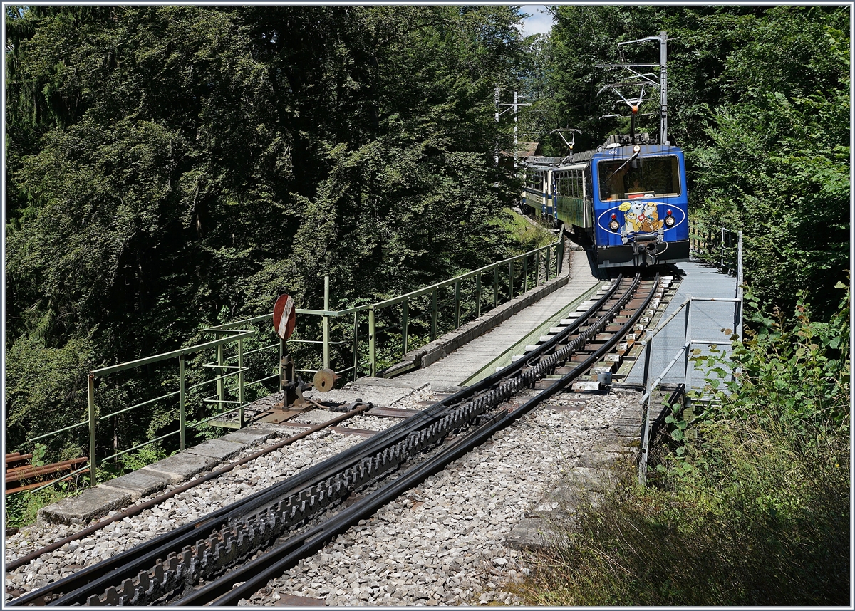 Der Ropchers de Naye Bhe 4/8 302 und ein weiterer erreichen Le Tremblex.
7. August 2016