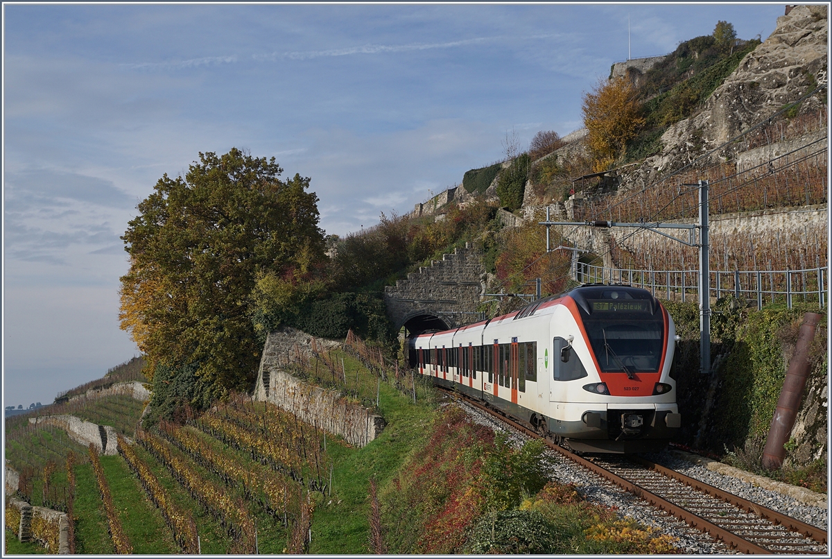 Der SBB RABE 523 027 auf der Fahrt von Vevey nach Palézieux verschwindet im 20 Meter langen Salanfe Tunnel.


24. Nov. 2019