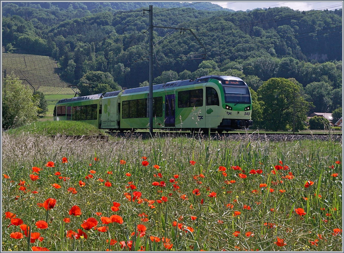 Der TPC Beh 2/6 543 ist bei Villy in Richtung Monthey unterwegs. 

24. Mai 2018