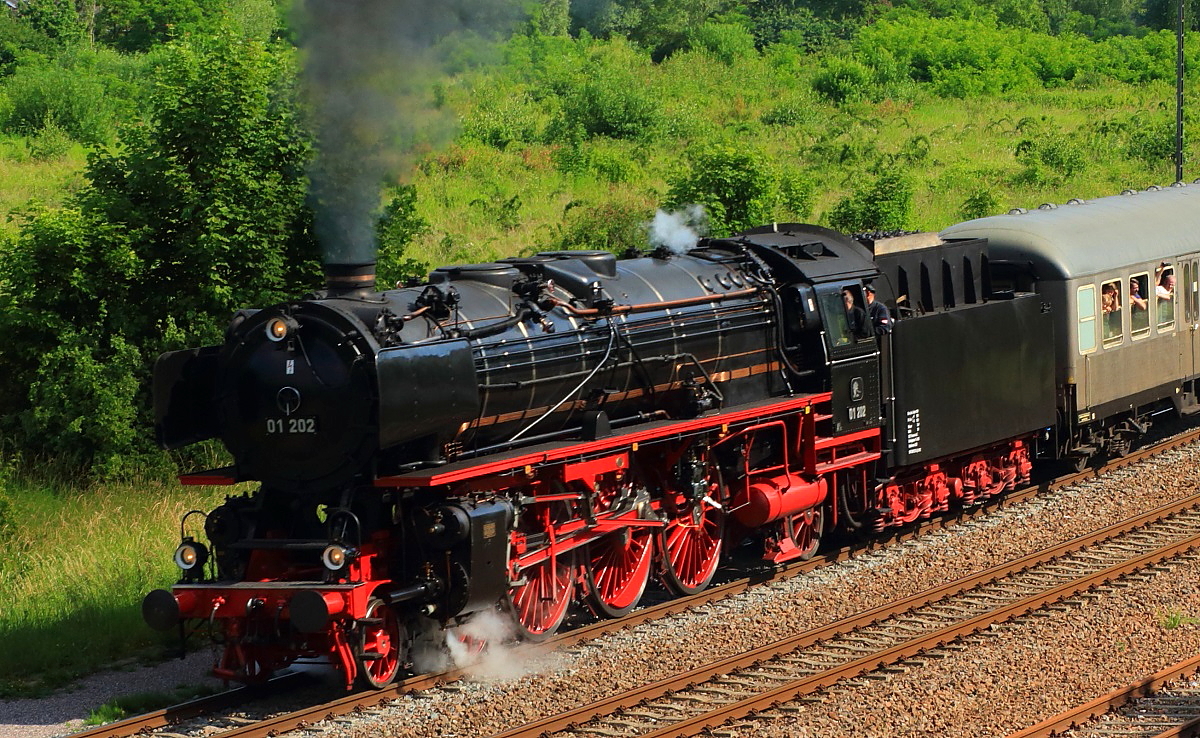 Die 01 202 des Vereins Pacific 01 202 ist ab und zu auch einmal in ihrer alten Heimat im Einsatz, so wie hier beim Dampfspektakel zum Jubil�um  20 Jahre Rheinland-Pfalz-Takt  und  25 Jahre Verkehrsverbund Rhein-Neckar . Am 31.05.2014 hat sie gerade den Bahnhof Landau in Richtung Neustadt/Weinstra�e verlassen.