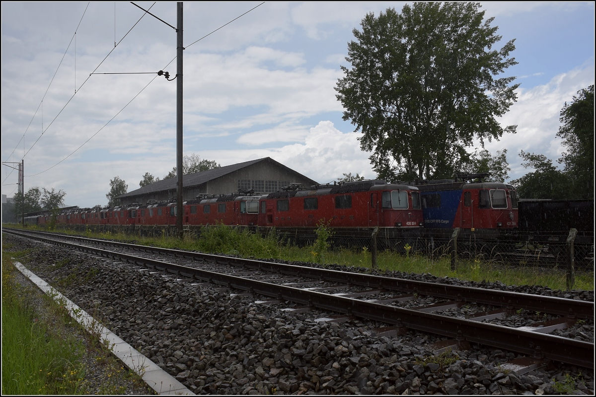 Die abgestellten Bobos und versteckt noch Re 6/6 in Full. Juni 2020

Vordere Reihe nach hinten: Re 4/4 III 11350, 11354, 11367, Re 4/4 II 11148, 11236, Re 4/4 III 11353, 11366, Re 4/4 II 11305, Re 4/4 III 11361

Hintere Reihe nach hinten: Re 421 390, 3??, Bobo?, Re 421(?) 3??, Re 6/6 unbekannt, Re 6/6 11655, Re 421 3??

Kaum den Verdacht getätigt, schon abgestellte Loks gefunden. Wahrscheinlich sind einige Loks vom Personenverkehr zum Güterverkehr zurückgekehrt. Erstaunlich, dass sich mindestens drei Re 421 unter den abgestellten Loks befinden. Die Lok im Vordergrund ist übrigens die ehemalige SOB-Re 4/4 III.