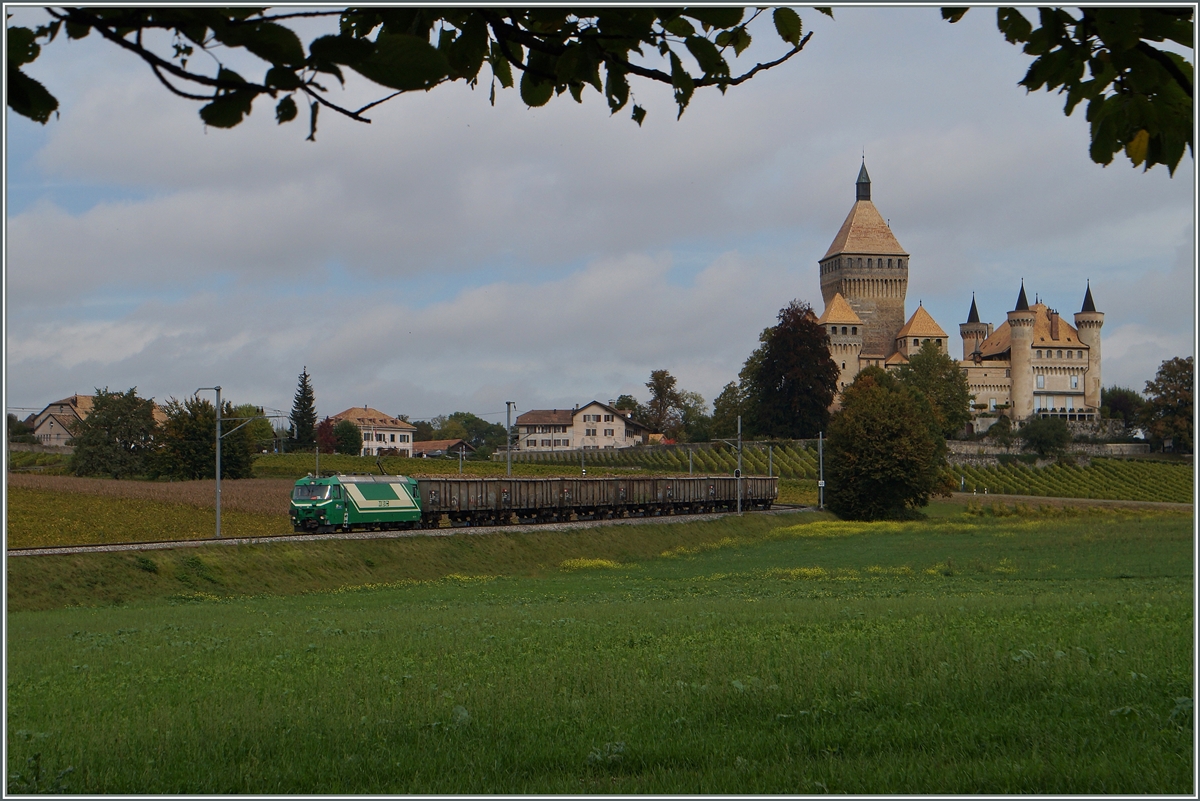 Die BAM Ge 4/4 21 ist mit einem Zuckerrübenzug Richtung Morges vor der Kulisse des Château de Vufflens unterwegs.
15. Okt. 2014