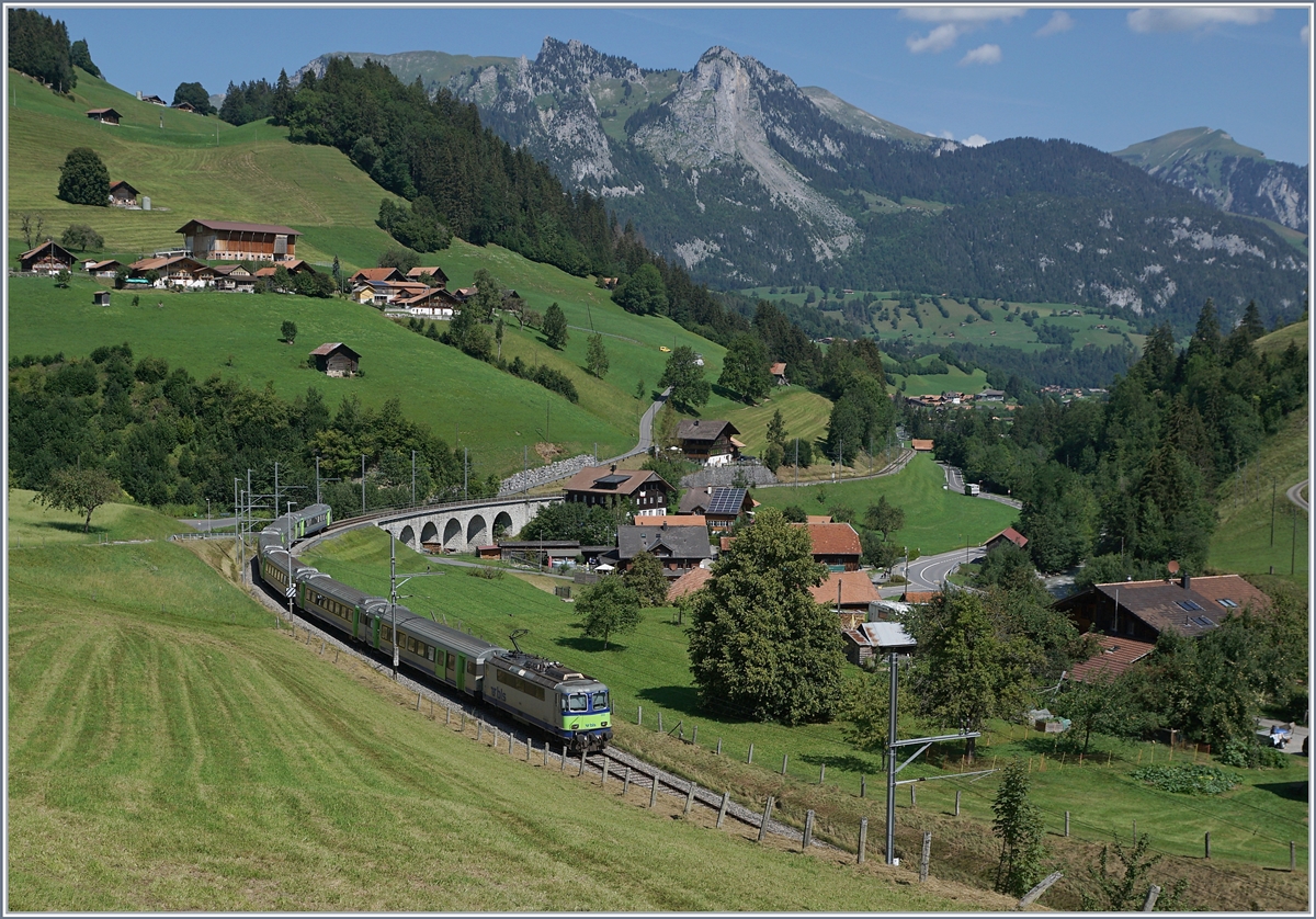 Die BLS Re 4/4 502 schiebt bei Garstatt ihre RE in Richtung Intearlaken Ost. 

11. August 2020
