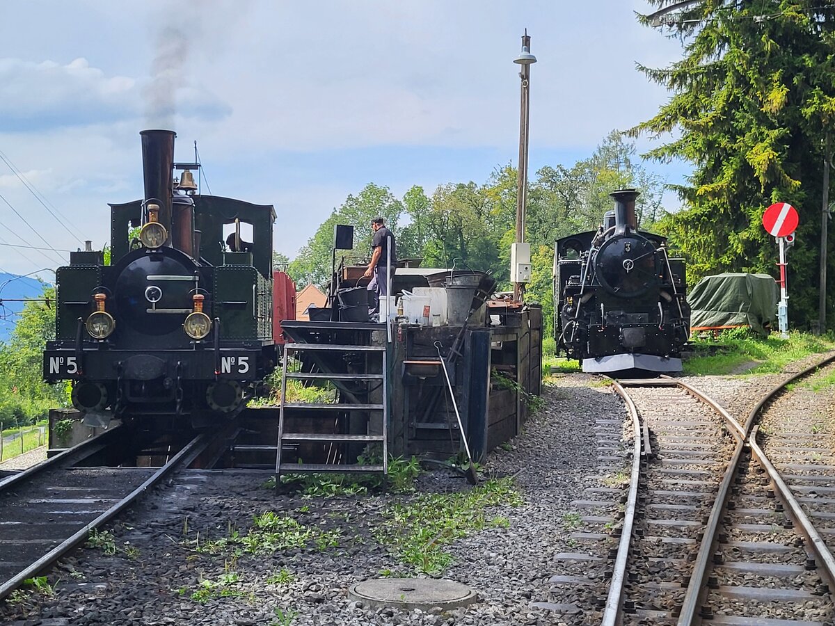 Die LEB G 3/3 5 und die BFD HG3/4 5 (beide Blonay Chamby Bahn) in Chaulin 
4 Aug. 2024