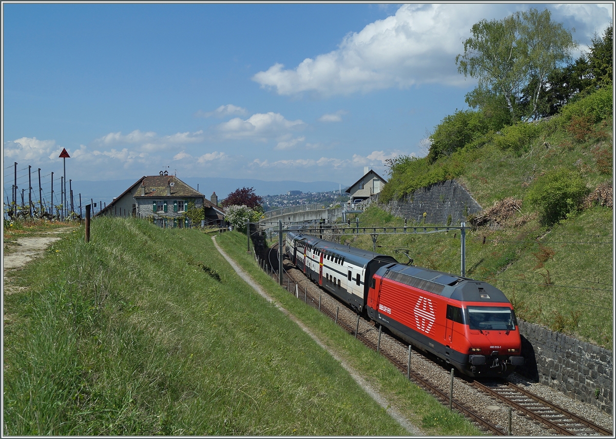 Die SBB 460 015-1 mit einem IC nach St.Gallen zwischen Bossière und Grandvaux.
23.04.2014