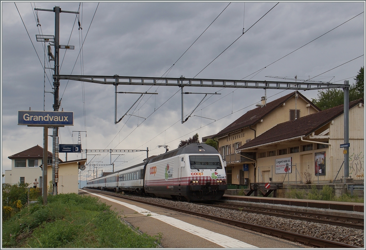 Die SBB 460 083-9  Coop  ist mit einem IR in Grandvaux auf dem Weg nach Luzern. 

3. Sept. 2015