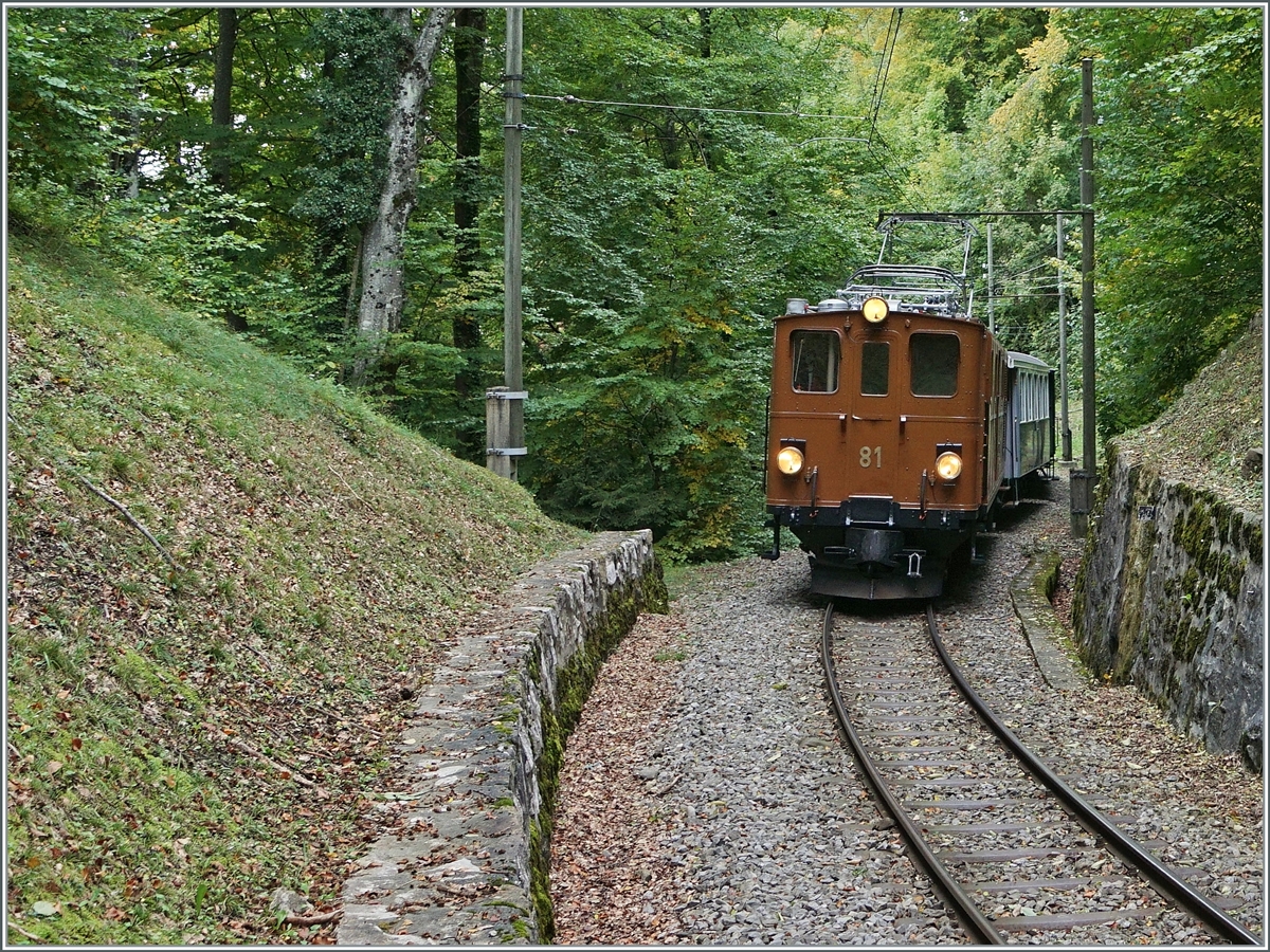 Die Strecke der Blonay-Chamby Bahn ist mit gut drei Kilometer nicht sehr lang, und doch bietete sie unzählige Fotomotive, wie z.B hier kurz vor der Baie de Clarens Brücke im Wald oberhalb von Blonay mit der Bernina Bahn Ge 4/4 81 auf dem Weg nach Chamby.

11. Oktober 2020