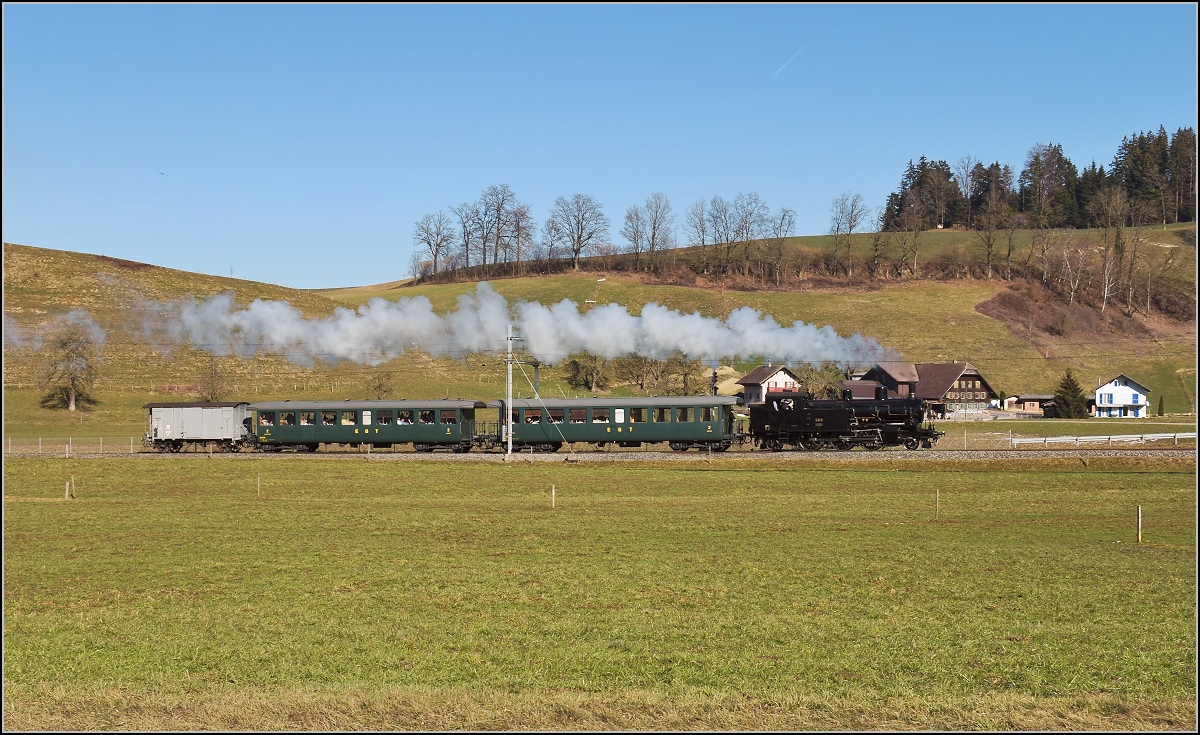 Eb 3/5 5810 mit ihrer Fuhre rund um den Napf am Tutensee. Februar 2019.