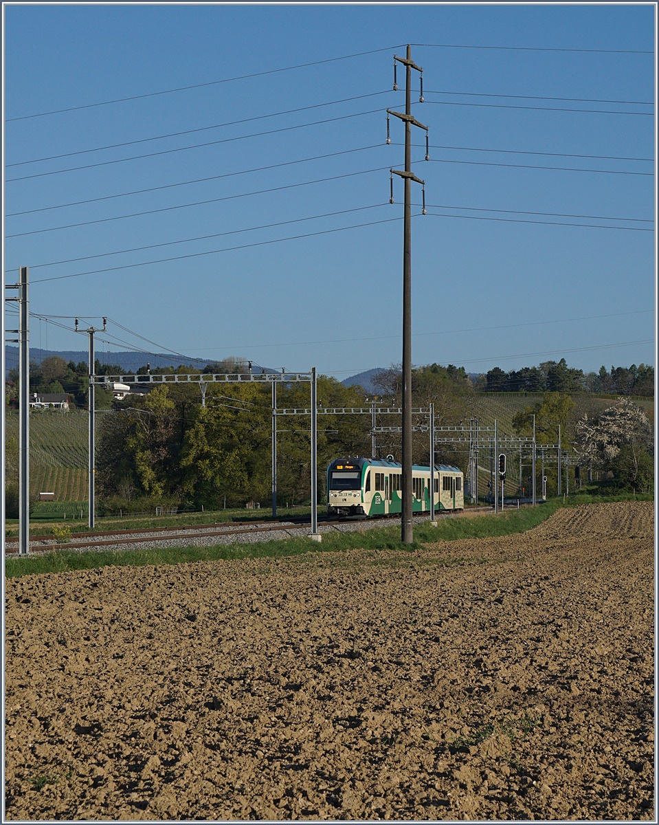 Ein BAM SURF auf der Fahrt nach Morges in Gilly. 

10. April 2017