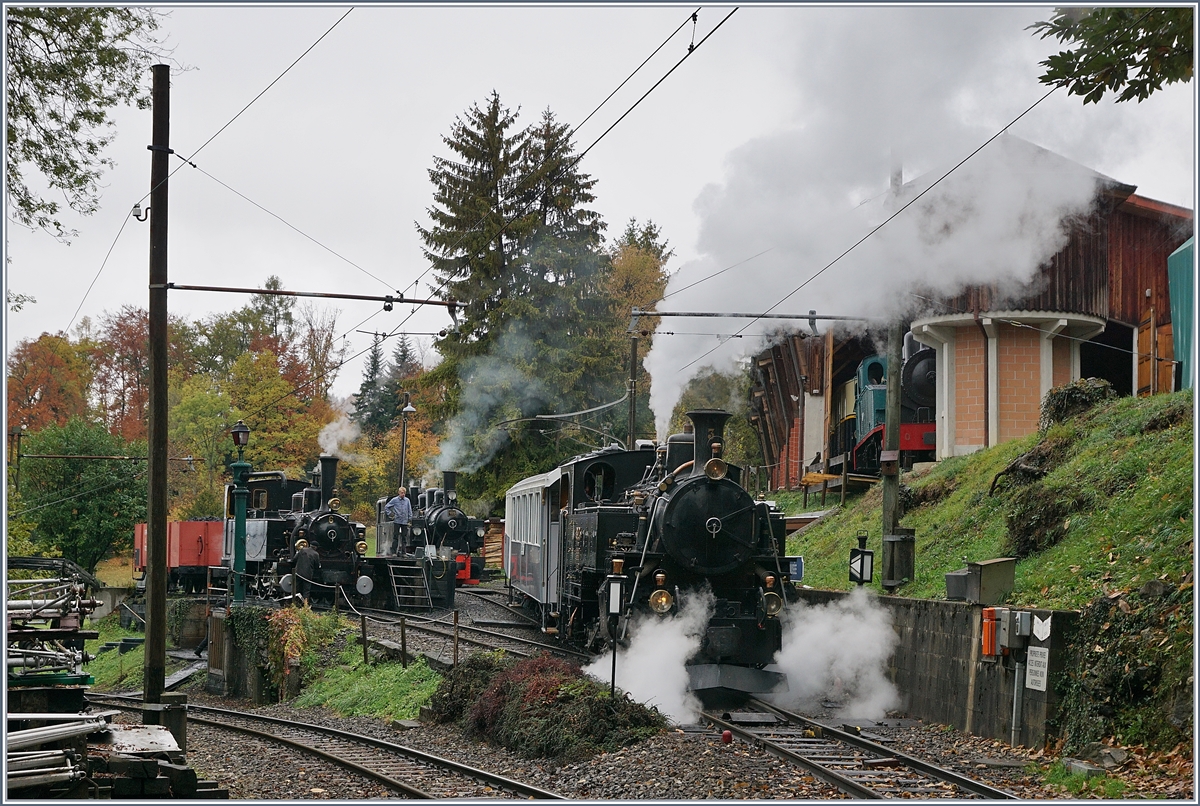 Ein Blick in BW der Blonay-Chamby Bahn bei Chaulin. 

28. Ok.t 2020