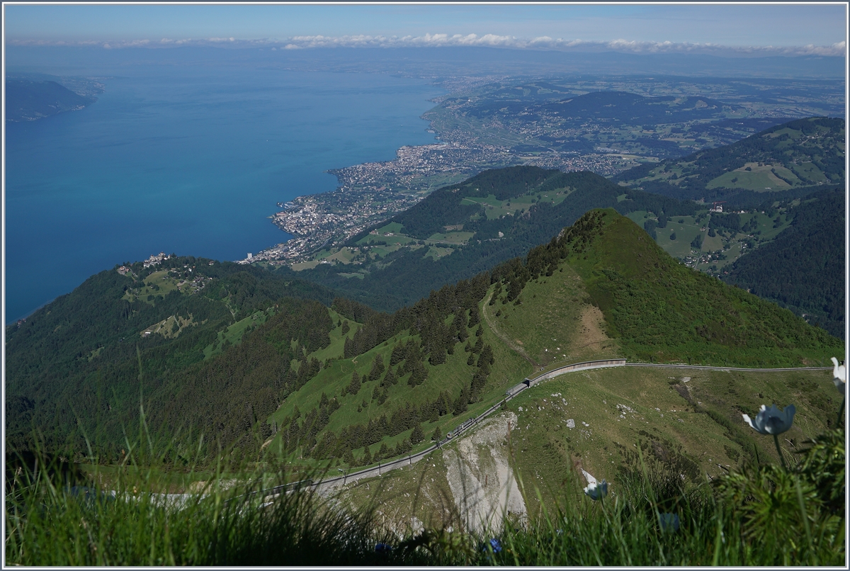 Ein Blick vom Rochers de Naye auf die Wasserscheide zwische Rhone und Rhein welche geradevon einemk Bhe 4/8 befahren wird.
28. Juni 2016