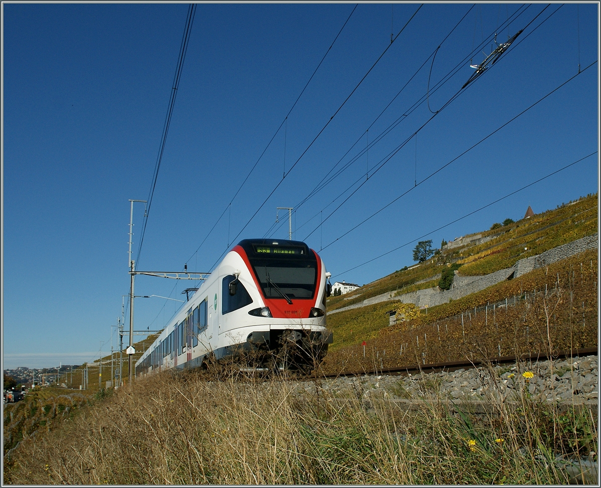 Ein Flirt auf der Fahrt Richtung Lausanne kurz nach Cully.
28. Okt. 2013