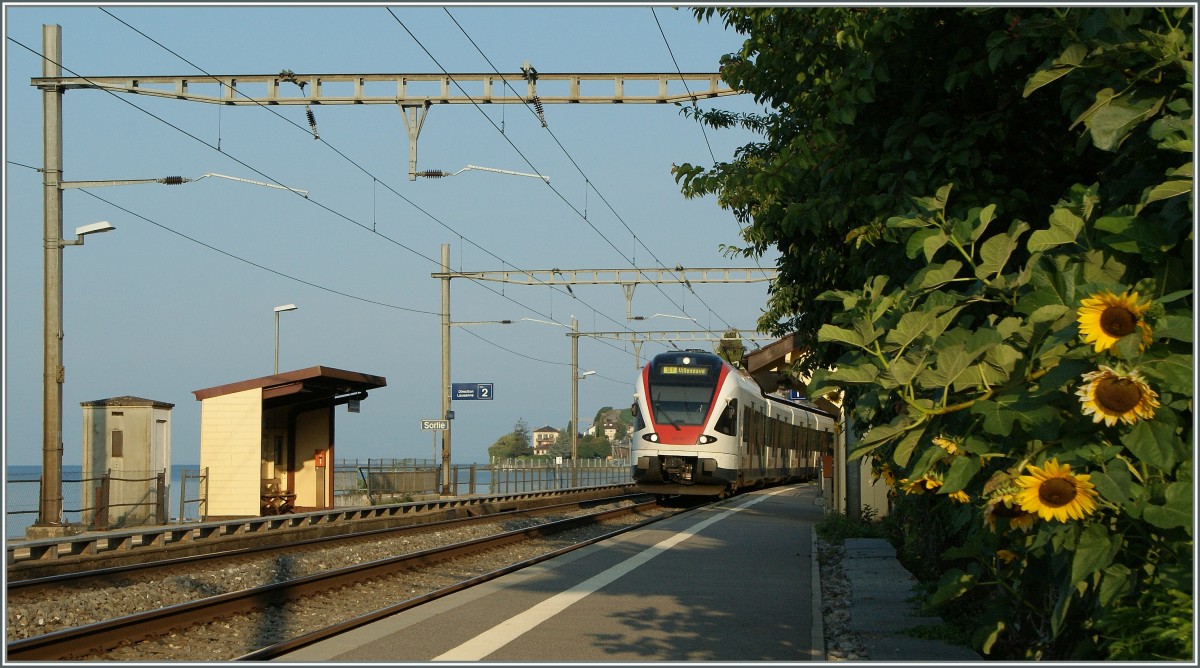 Ein Flirt erreicht St.Saphorin.
31. August 2013