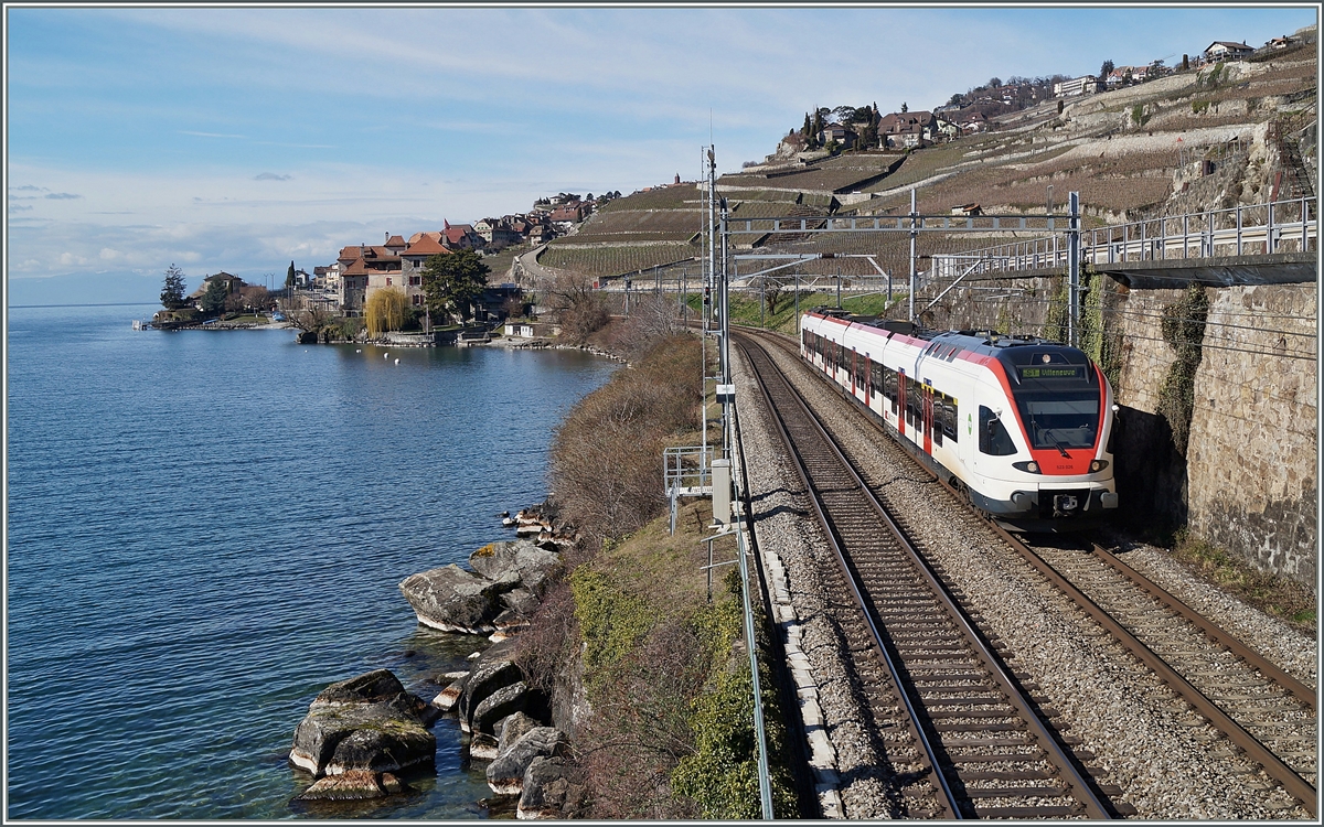 Ein  Flirt  nach Villeneuve kurz nach Rivaz.
22. Feb. 2014