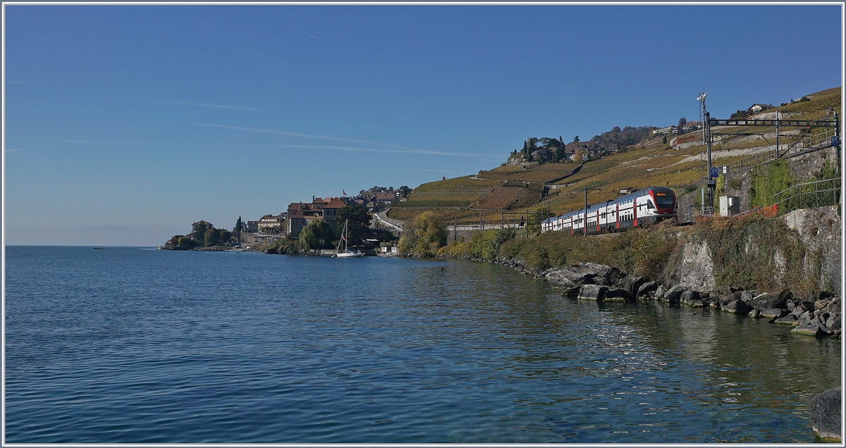 Ein SBB RABe 511 als RE Vevey - Genève kurz vor Rivaz. 

25. Okt. 2018
