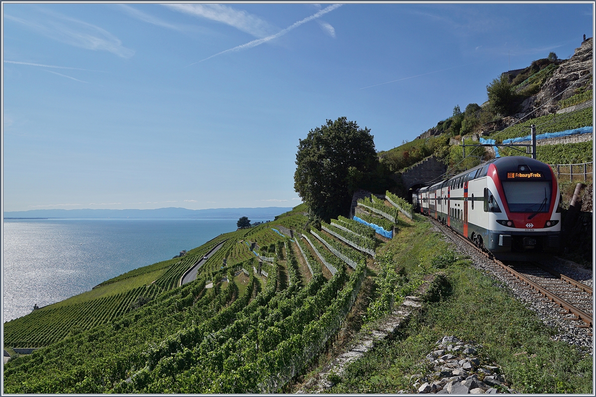 Ein SBB RABe 511 auf der Fahrt von Genève nach Fribourg via Vevey (Sommerfahrplan 2018) kurz vor Chexbres hoch über dem Genefersee.

26. August 2018