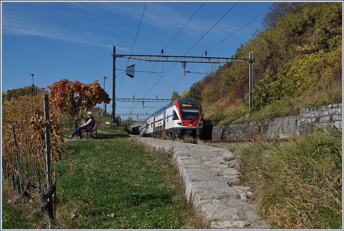 Ein SBB RABe 511 nach Romont zwischen Bossière und Grandvaux.
26. Okt. 2017