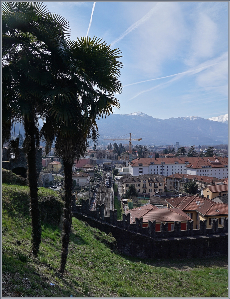 Ein Versuch, in Bellinzona die Gotthartbahnstrecke, Teile der Schlossbefestigung und die Palmen auf ein Bild zu bekommen. 

22. M�rz 2018 
