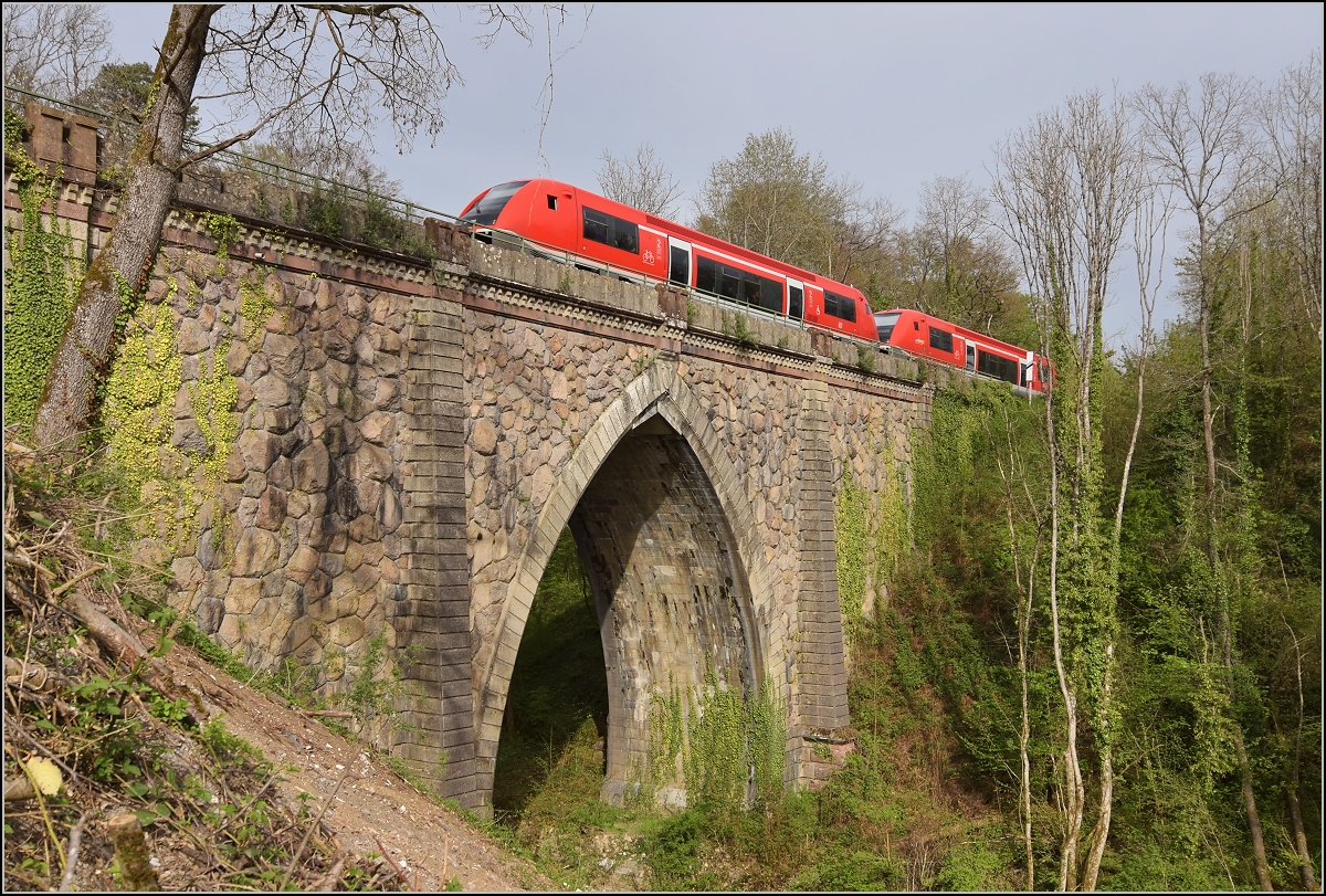 Eine Doppeltraktion 641 auf der Steinabrücke in Tiengen. April 2019. 