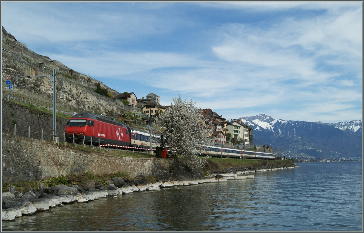 Eine SBB Re 460 ist bei St-Saphorin mit einem IR Richtung Lausanne unterwegs.
15. April 2015