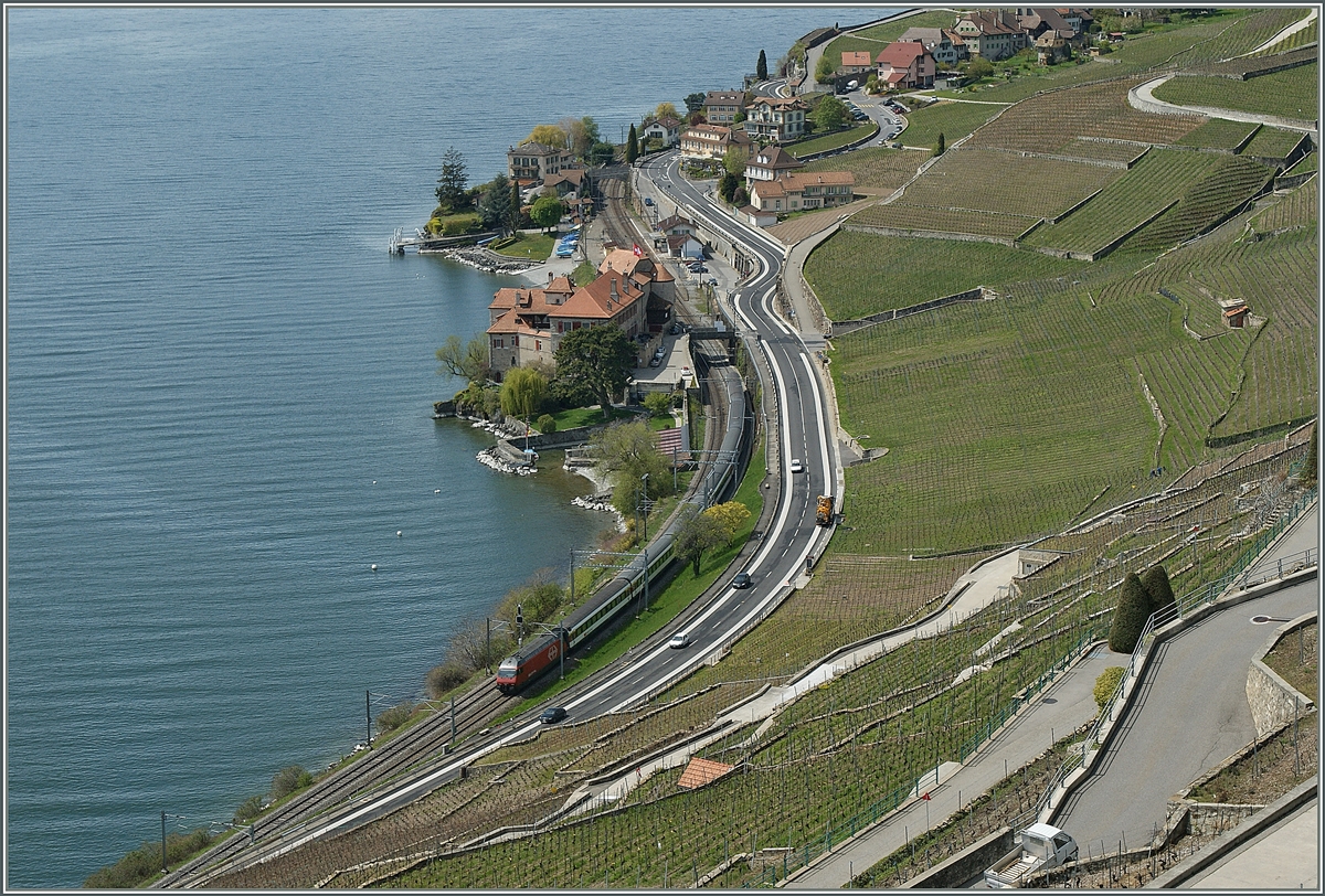 Eine SBB Re 460 ist bei Rivaz mit einem IR Richtung Brig unterwegs.
23. April 2012