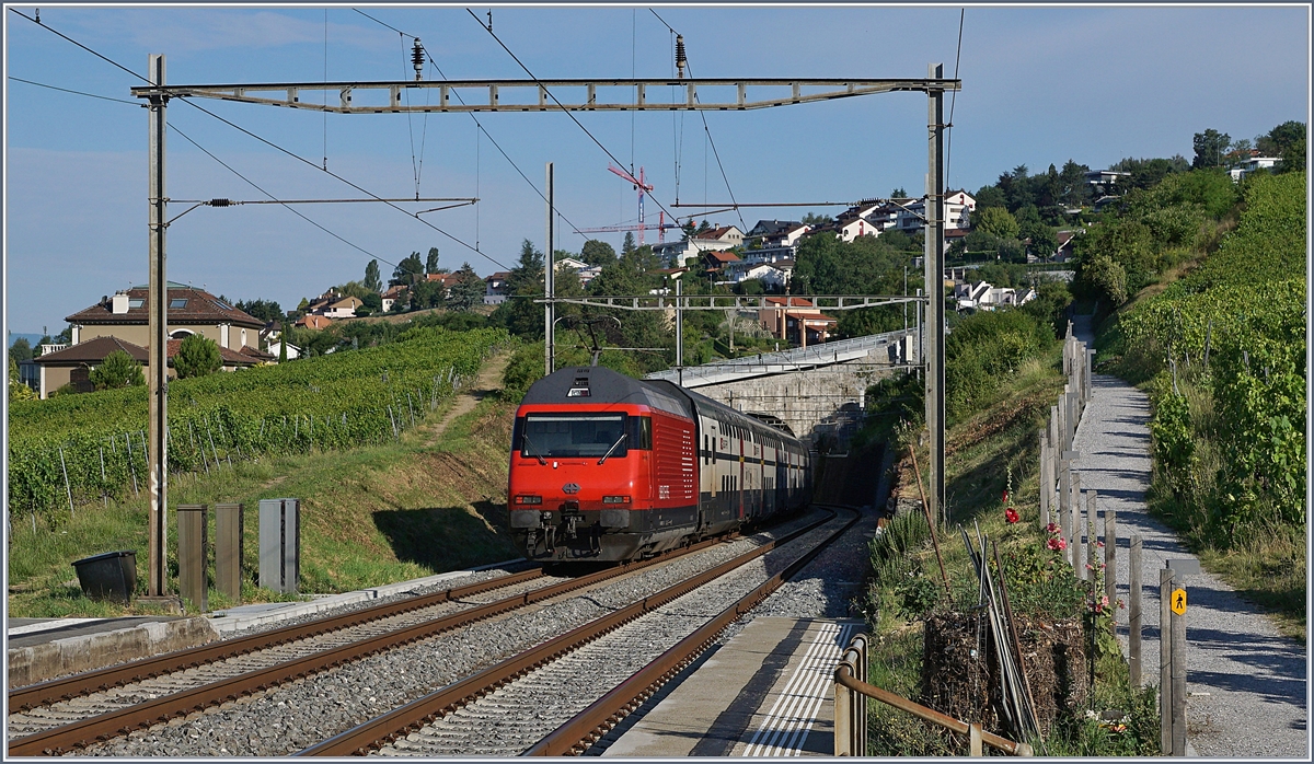 Eine SBB Re 460 mit einem IC nach Genève Aéroport bei Bossière.

14. Juli 2020